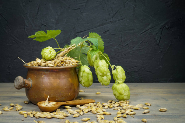 Branch of fresh hops on plant with barley seeds - Photo, Image