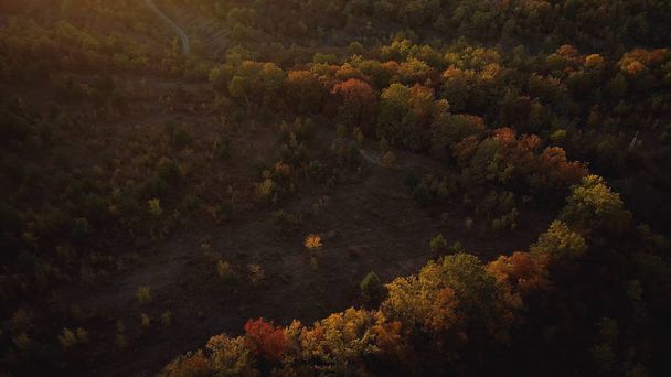 秋の山の森のトップビュー。撃たれた美しいオレンジと赤の秋の森、オレンジの丘の上の多くの木 - 写真・画像