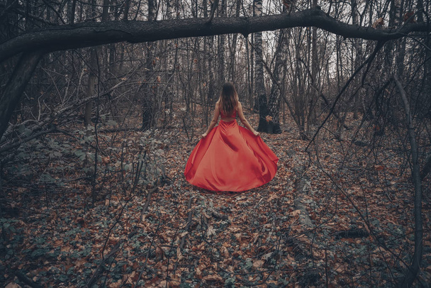 Young beautiful woman in the long flying red dress is walking along foggy mysterious forest - Foto, immagini