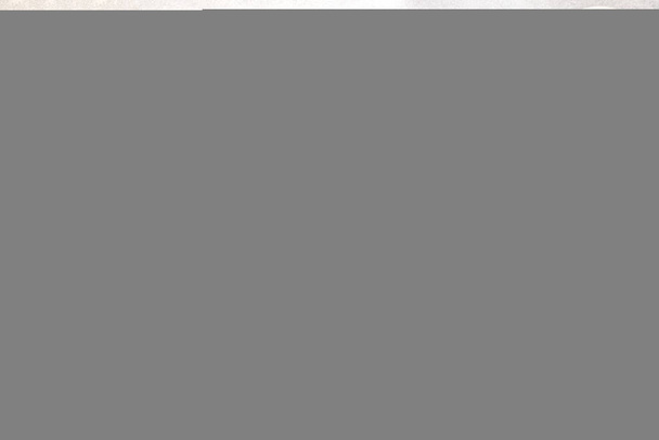 Sortiment von Bohnen auf steinigem Hintergrund. Purpurrote Preiselbeere, rotes, bemaltes Pony, schwarze Schildkröte, braune, schwarzäugige, Jacobs Rinder (Erbstück), Lima, Marine, Spargel- und Sojabohnen. Ansicht von oben - Foto, Bild