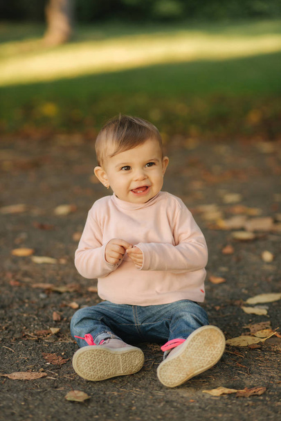 Close up of beautiful little smiled girl. Happy baby girl in autumn park. Ten month baby smile - Fotografie, Obrázek