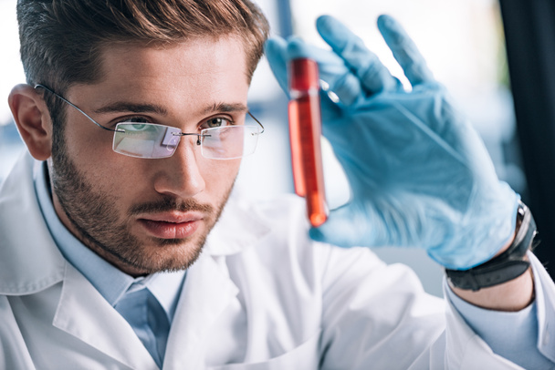 enfoque selectivo del inmunólogo barbudo en gafas que sostienen tubo de ensayo con líquido rojo
  - Foto, Imagen