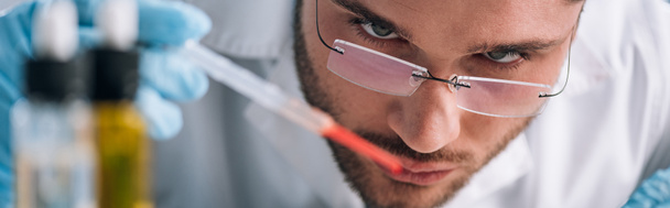 panoramic shot of immunologist holding pipette with red liquid  - Photo, Image