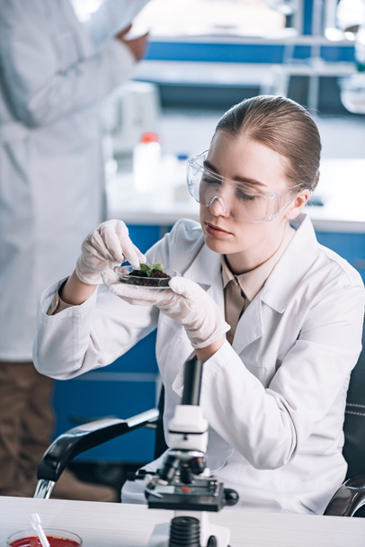 attractive biochemist holding glass with ground and green leaves  - Photo, Image