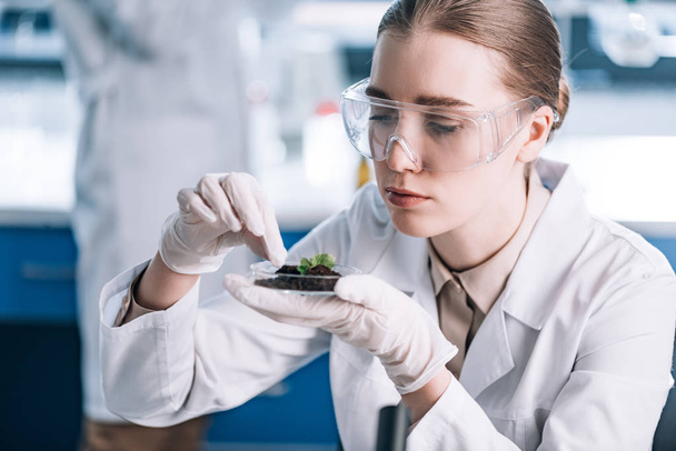 selective focus of attractive biochemist touching green plant  - Foto, Imagem