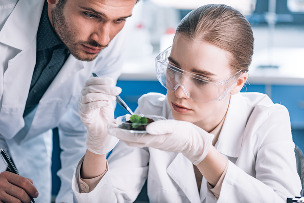 biochimiste dans les lunettes tenant une pince à épiler près d'une plante verte et collègue
  - Photo, image