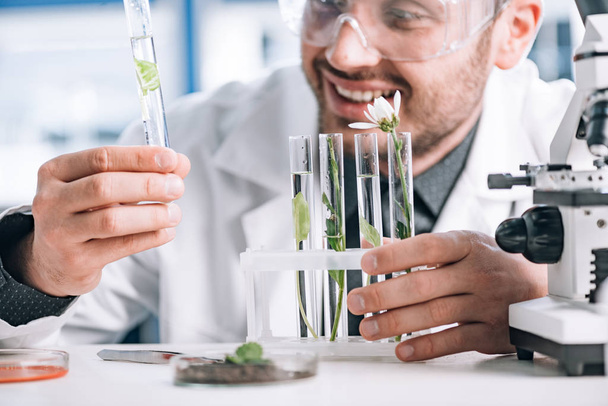 selective focus of happy biochemist looking a test tube with green plant near microscope  - Foto, imagen