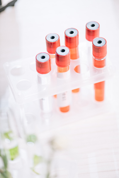 selective focus of red test tubes with samples  - Photo, Image