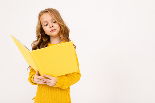 cute girl posing with folder in studio on light background  - Photo, Image