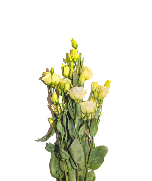 Bouquet di fiori di lisianto bianco fresco
 - Foto, immagini