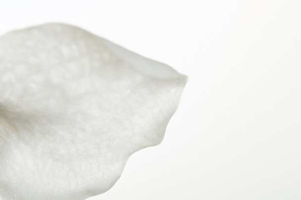 Nahaufnahme von Orchideenblütenblatt isoliert auf weiß - Foto, Bild