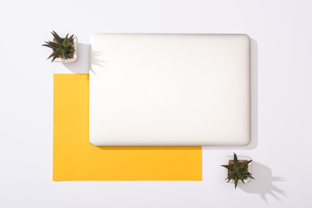 top view of laptop, green plants and yellow paper  - Фото, изображение