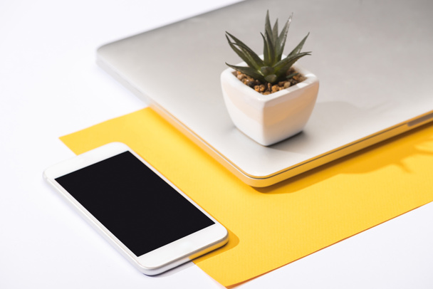 high angle view of smartphone, laptop, plant and paper - Photo, Image