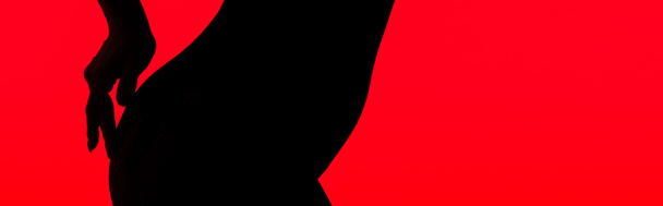 панорамний знімок чорного силуету сідниць пристрасної жінки, ізольований на червоному
 - Фото, зображення