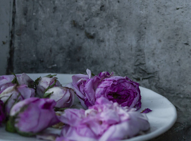 rózsabimbók egy tányéron szürke fal háttér - Fotó, kép