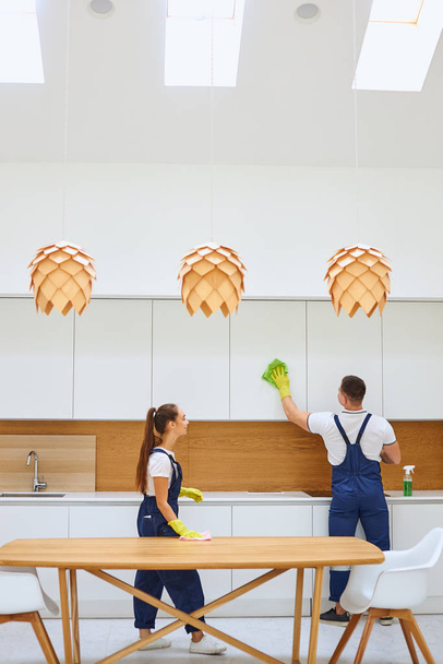 Vigorous cleaners in kitchen - Fotografie, Obrázek