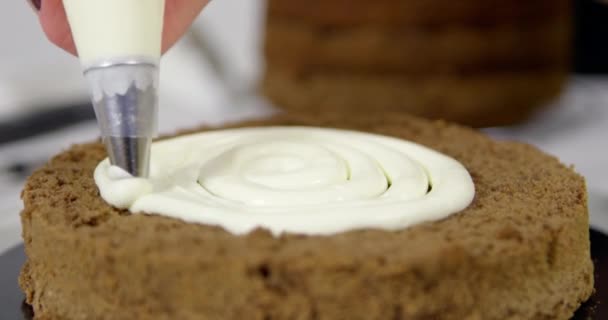 Cuisine recipes: chocolate cake shortcakes - Footage, Video