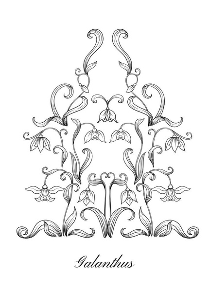 Galanthus, snowdrop, nivalis. Ensemble d'éléments pour la conception
 - Vecteur, image