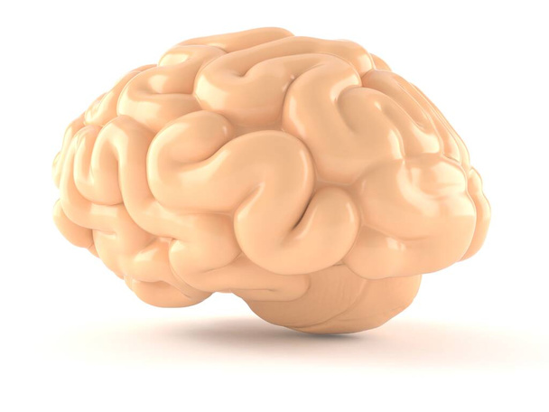 cerebro - Foto, Imagen
