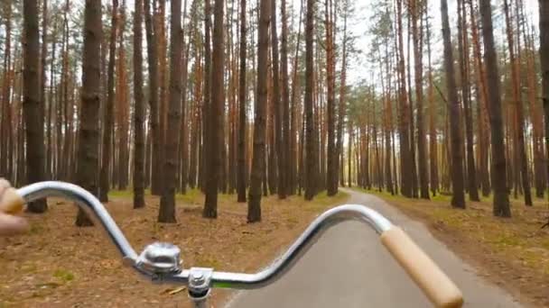 Mies ajaa polkupyörällä metsässä. Kaunis tie vanhojen mäntyjen keskellä. Subjektiivinen kamera
 - Materiaali, video