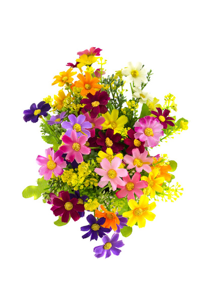 fiori colorati - Foto, immagini