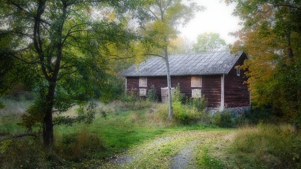 A small forest road and an old red house in the forest - Fotoğraf, Görsel