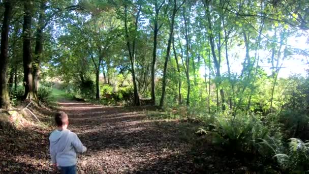 Szczęśliwy chłopiec wędrówki w lesie, widok z tyłu - Materiał filmowy, wideo