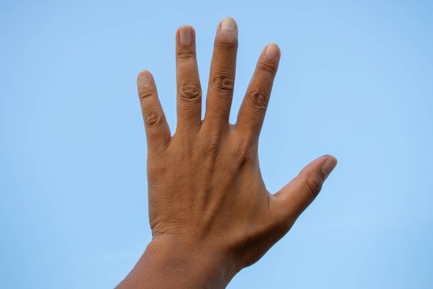 mão e palma isoladas em muitas posições
 - Foto, Imagem