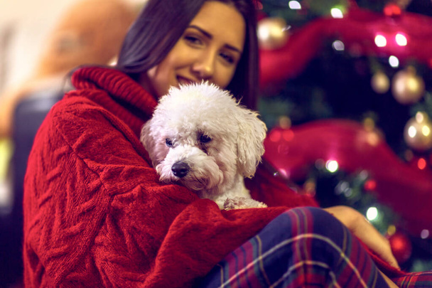 милий собака на різдвяний подарунок. дівчина обіймає милого собаку
. - Фото, зображення