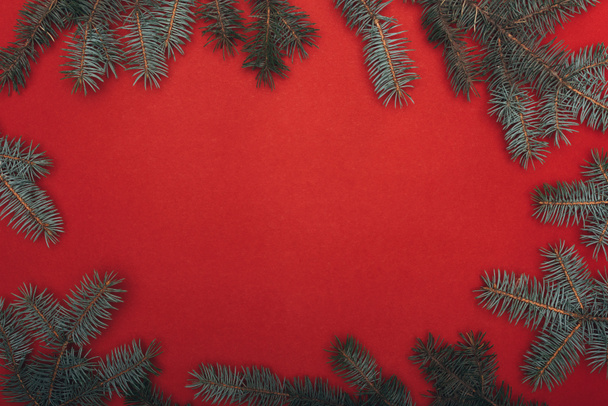 πάνω όψη του χριστουγεννιάτικου πλαισίου με κλαδιά ερυθρελάτης στο κόκκινο - Φωτογραφία, εικόνα