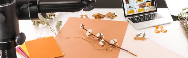 composición con flor de algodón y accesorios para la toma de fotos con cámara y portátil, plano panorámico
 - Foto, Imagen