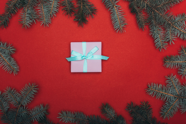 Top view of one christmas gift with spruce branches on red - 写真・画像