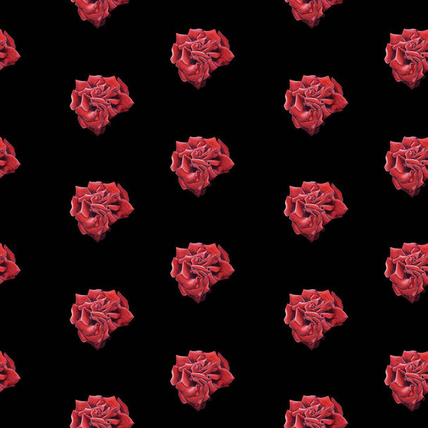 Hand Drawn Watercolor Red Rose seamless pattern on black background. - Фото, изображение