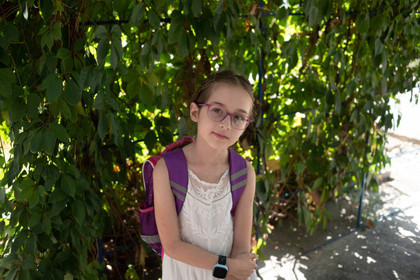 Menekşe sırt çantası ve mor gözlüklü liseli kız. Sonbaharda gözlük takan beyaz elbiseli bir kız.. - Fotoğraf, Görsel