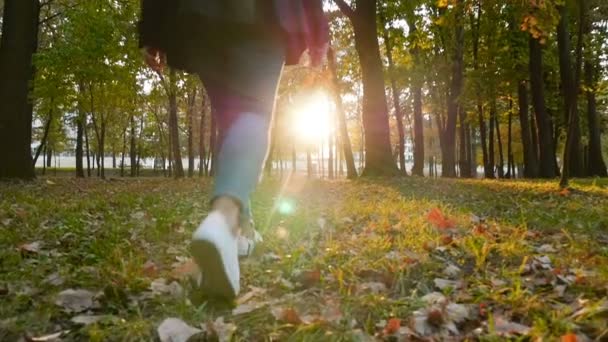 Una chica camina por un hermoso parque con hojas en la mano. Paisaje de otoño. Rayos de sol brillantes al atardecer. La cámara está en movimiento. Movimiento lento
 - Imágenes, Vídeo
