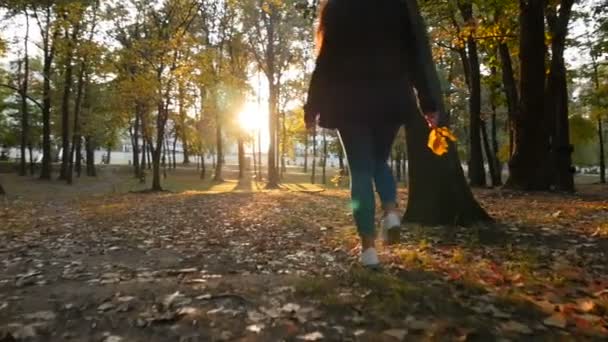 Una chica camina por el parque con hojas amarillas en la mano. Hermoso atardecer. Hermoso lugar. La cámara está en movimiento. Movimiento lento
 - Imágenes, Vídeo