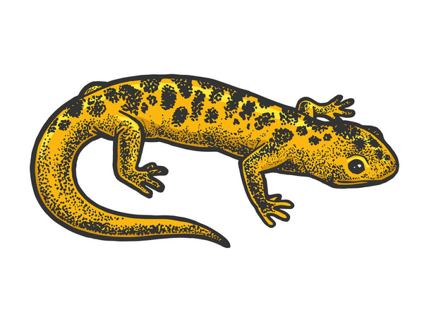 Salamander lizard animal sketch engraving vector illustration. T-shirt apparel print design. Scratch board style imitation. Black and white hand drawn image. - Vektori, kuva