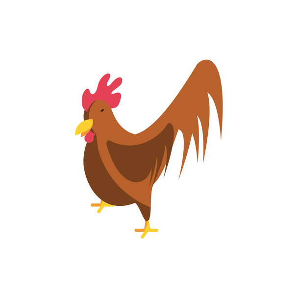 cute chicken on white background - Vector, Image