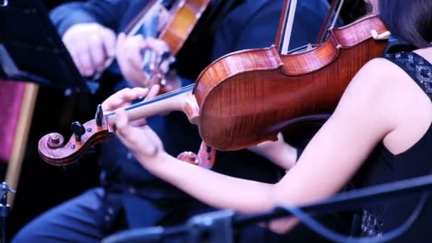 Woman playing violin at the classical music symphony orchestra performance. Violinist man in the background. View from the back of the musician. Close-up of stringed instrument at work. - Footage, Video