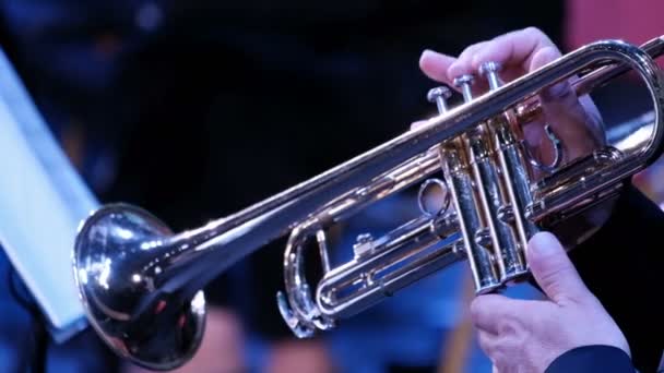 Een trompettist. Muzikant van een fanfare. Sluiten van een mannelijke handen. Concert. - Video