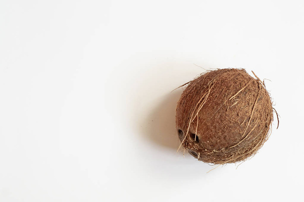 noix de coco isolée sur fond blanc  - Photo, image