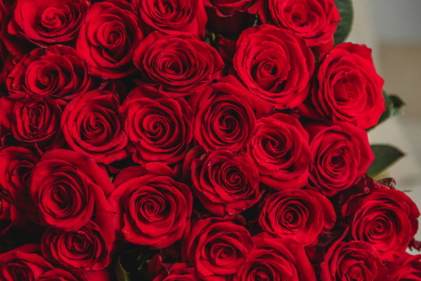 Floral background of fresh scarlet roses, close-up shot. - Photo, Image