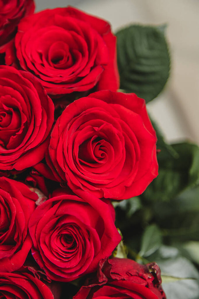 Bouquet of fresh scarlet roses on white background, close-up shot. - Foto, imagen
