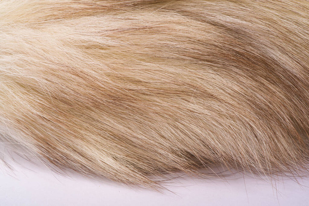 Текстура фона, рисунок. Лисья шерсть, Полярная лиса с ценным фу
 - Фото, изображение