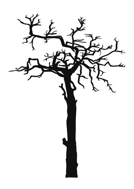 Black silhouette old crooked tree without leaves  - Vector, Image