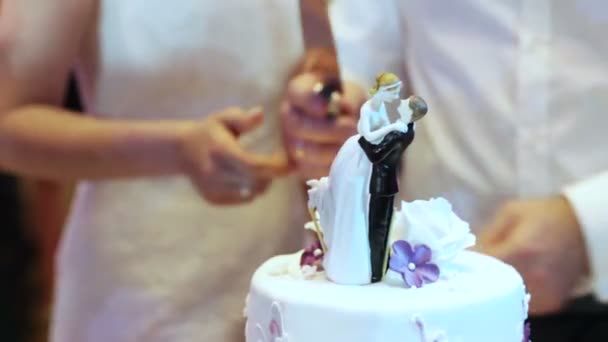 Cutting and folding plates on the wedding cake - Filmmaterial, Video