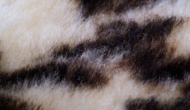 Текстура, мех, фигура. Овечья кожа под леопардом. a she
 - Фото, изображение
