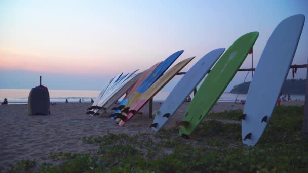カタビーチの賃貸料のためのビーチにカラフルなサーフボードスタンド  - 映像、動画