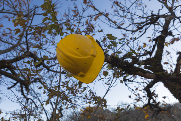 Κίτρινο κράνος εργασίας κρέμεται σε ένα δέντρο - Φωτογραφία, εικόνα