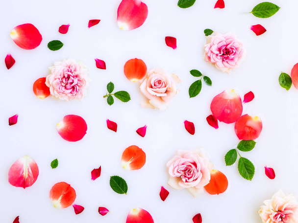 Melkbad met rozen, bloemblaadjes en bladeren. Bovenaanzicht - Foto, afbeelding